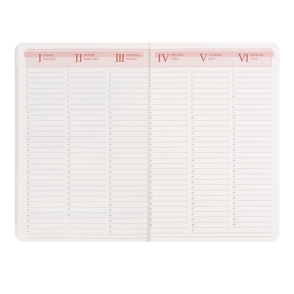 Щоденник діловий Leo Planner Vector A5 датований 2027 твердий чорний 368 сторінок 252760. Фото 10