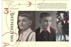 Книга Володимир Івасюк. Пісня, яка вартувала життя, але подарувала безсмертя - Олена Білоус. Фото 3