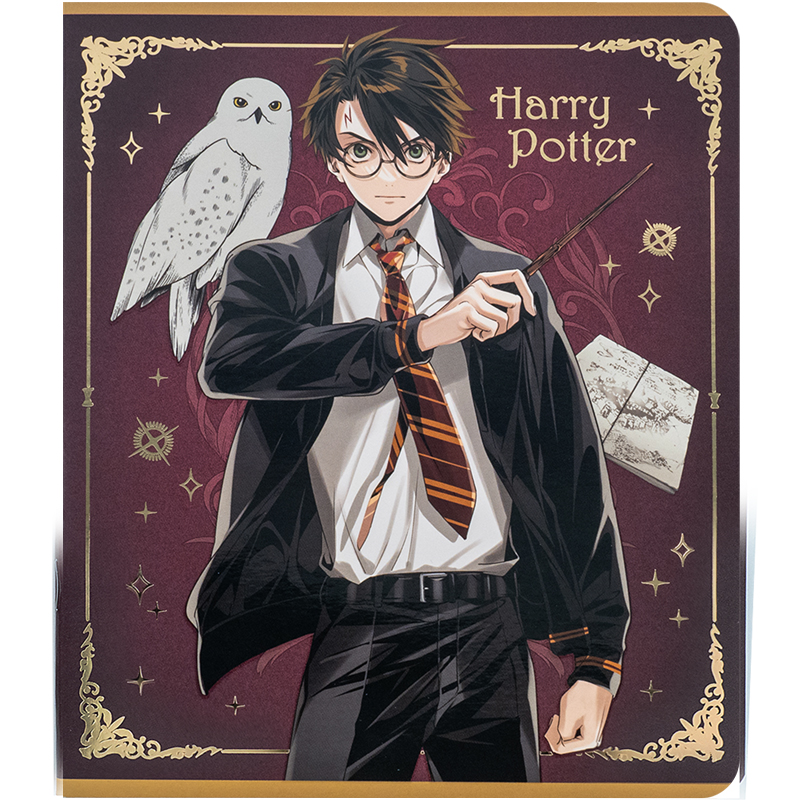 Зошит шкільний Kite Harry Potter 24 аркуша, клітинка HP24-238. Фото 4