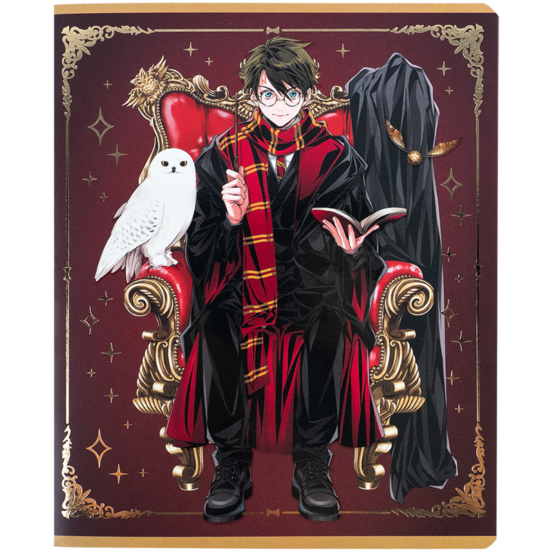 Зошит шкільний Kite Harry Potter 24 аркуша, лінія HP24-239. Фото 4