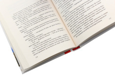 Книга Ловець невинних душ - Донато Каррізі. Фото 5