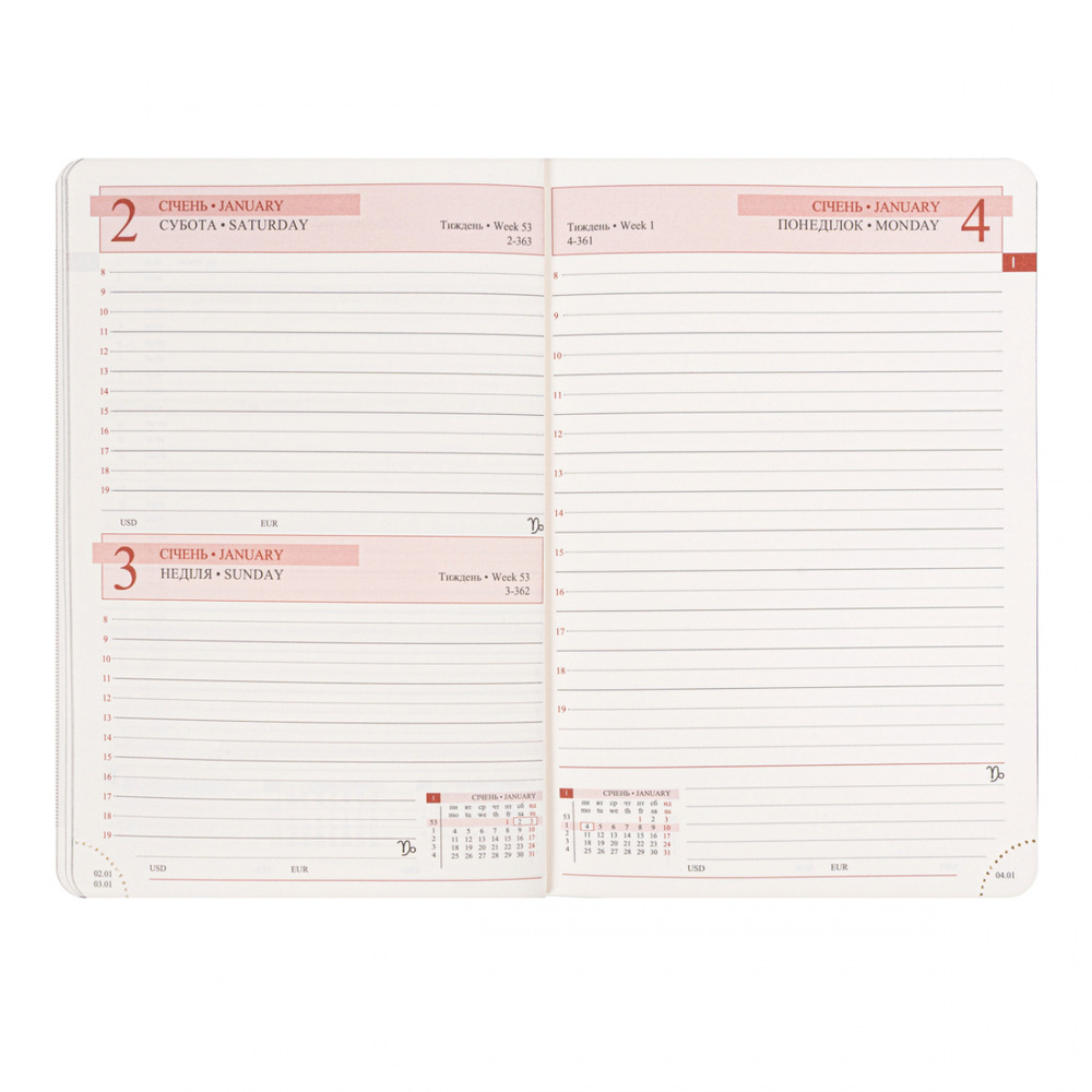 Щоденник діловий Leo Planner Botanic А6 датований 2027 м'який сірий 352 сторінки 252790. Фото 11