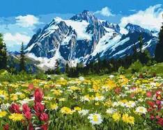 Картина за номерами Ideyka. Квіткове поле серед гір 40х50см