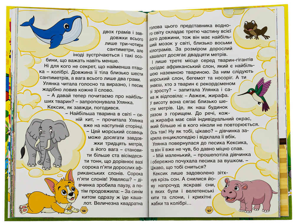 Книга Школярик. Песик Кексик та його друзі. Фото 5