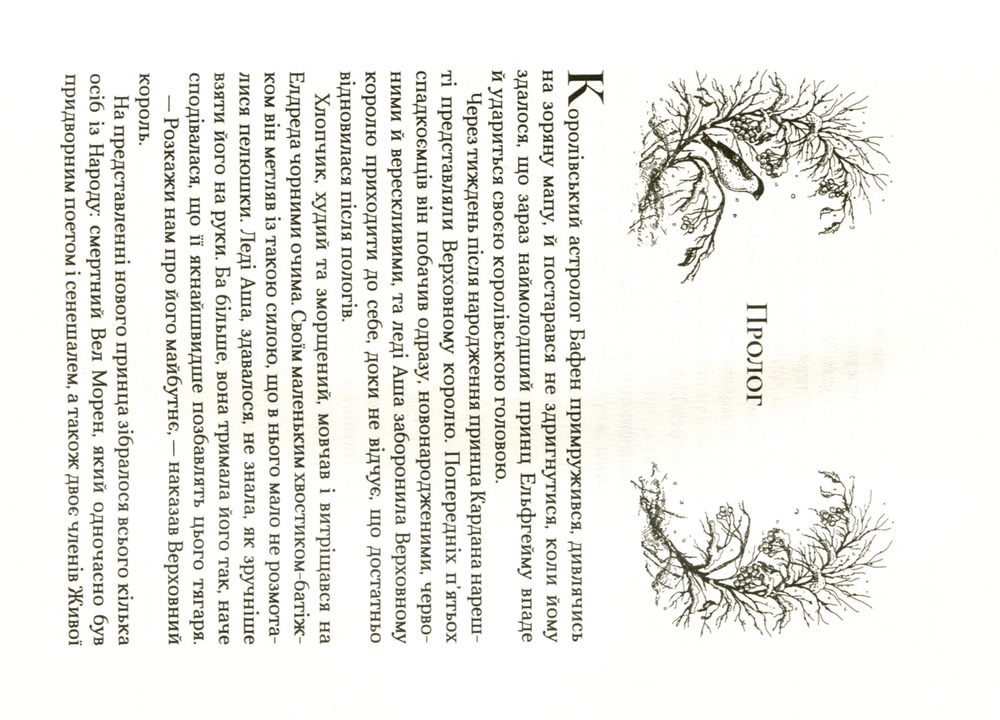 Книга Королева порожнечі. Книга 3 - Голлі Блек. Фото 7