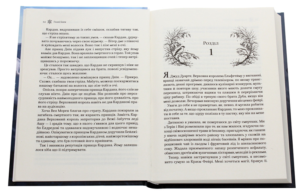 Книга Королева порожнечі. Книга 3 - Голлі Блек. Фото 4