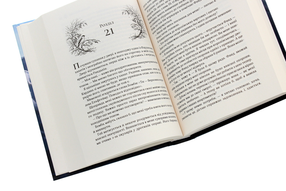 Книга Королева порожнечі. Книга 3 - Голлі Блек. Фото 5
