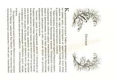 Книга Королева порожнечі. Книга 3 - Голлі Блек. Фото 7
