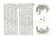 Книга Королева порожнечі. Книга 3 - Голлі Блек. Фото 13