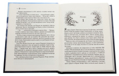 Книга Королева порожнечі. Книга 3 - Голлі Блек. Фото 4
