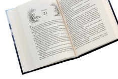 Книга Королева порожнечі. Книга 3 - Голлі Блек. Фото 5