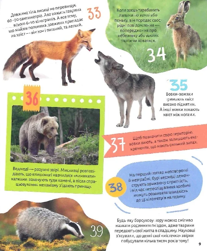 Книга Тварини. 100 цікавих фактів. Фото 8