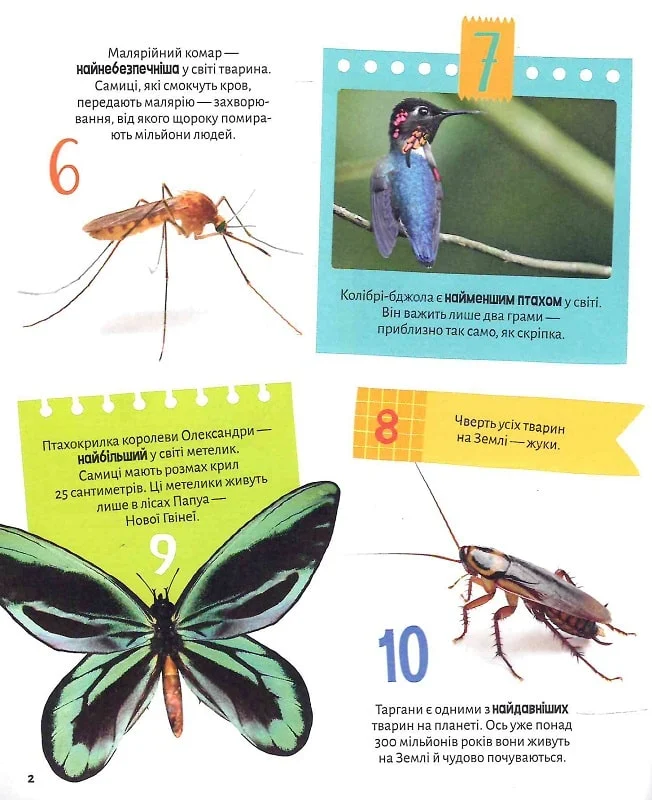 Книга Тварини. 100 цікавих фактів. Фото 3