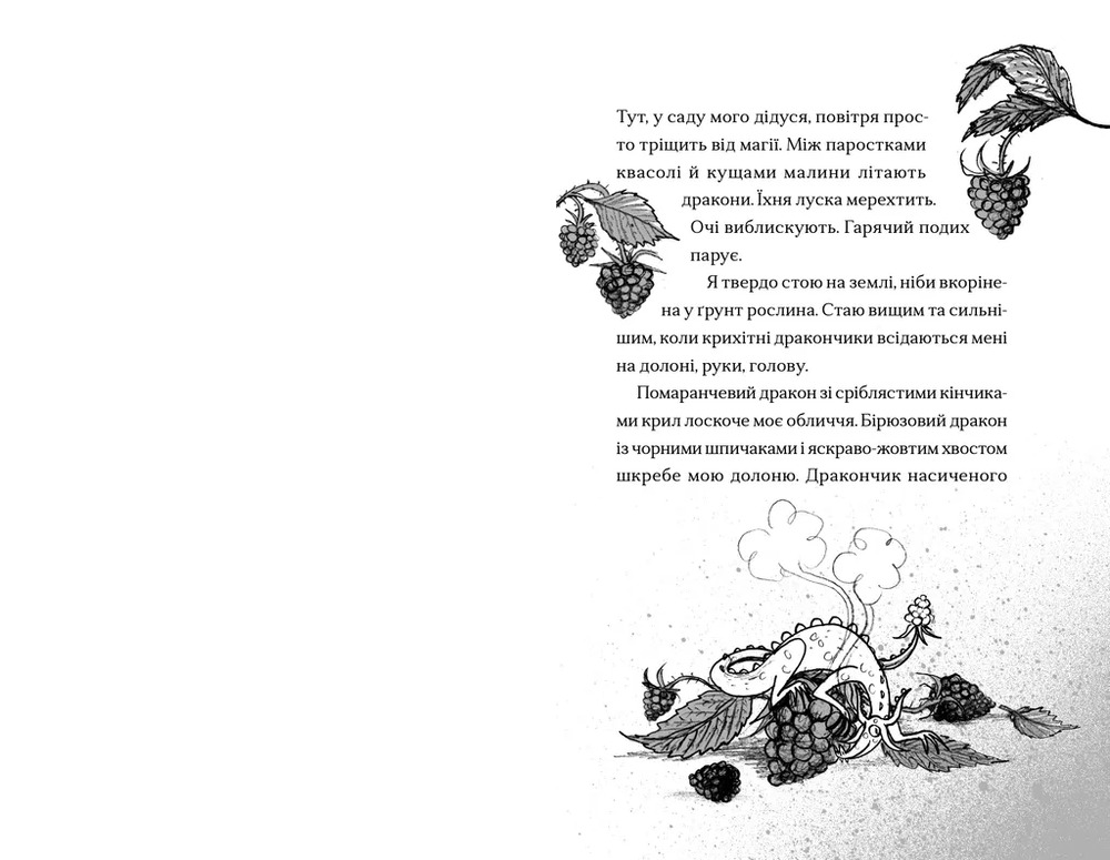 Книга Хлопчик, який співав з драконами. Книга 5 - Енді Шепард. Фото 3