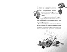 Книга Хлопчик, який співав з драконами. Книга 5 - Енді Шепард. Фото 3