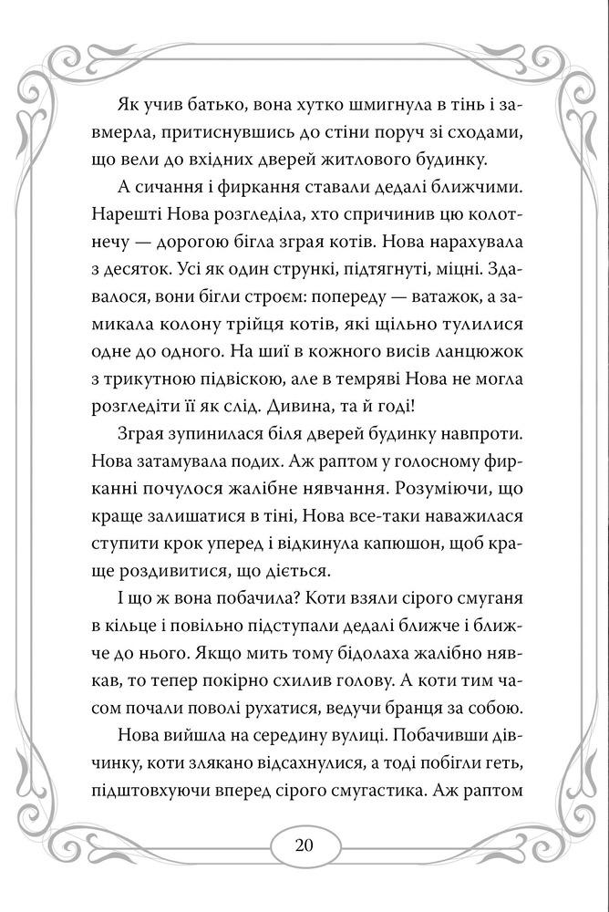 Книга Опівнічні коти. Книга 1. Книга фелідіксів - Барбара Лабан. Фото 5
