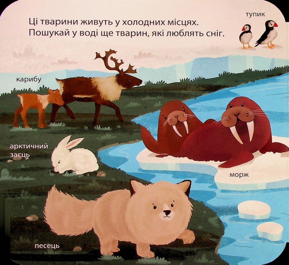 Книга Хто живе в зоопарку? Зазирни у віконечко. Фото 3