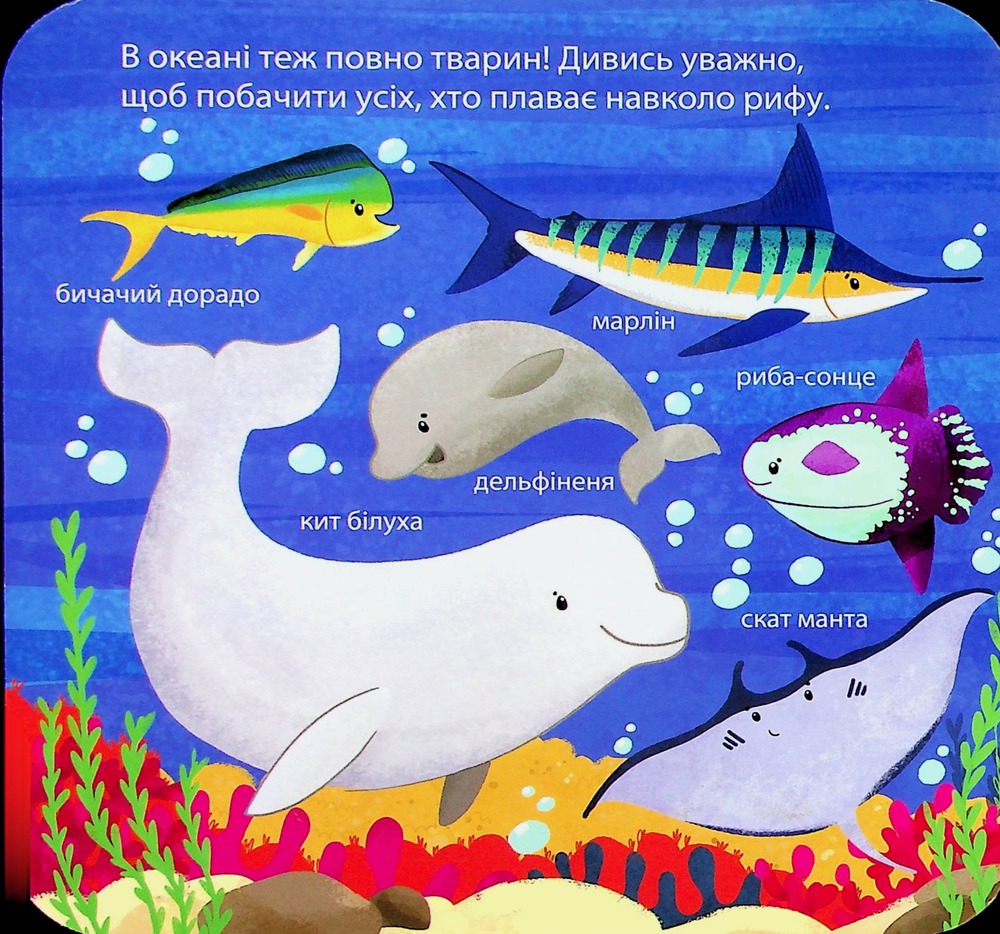 Книга Хто живе в зоопарку? Зазирни у віконечко. Фото 7