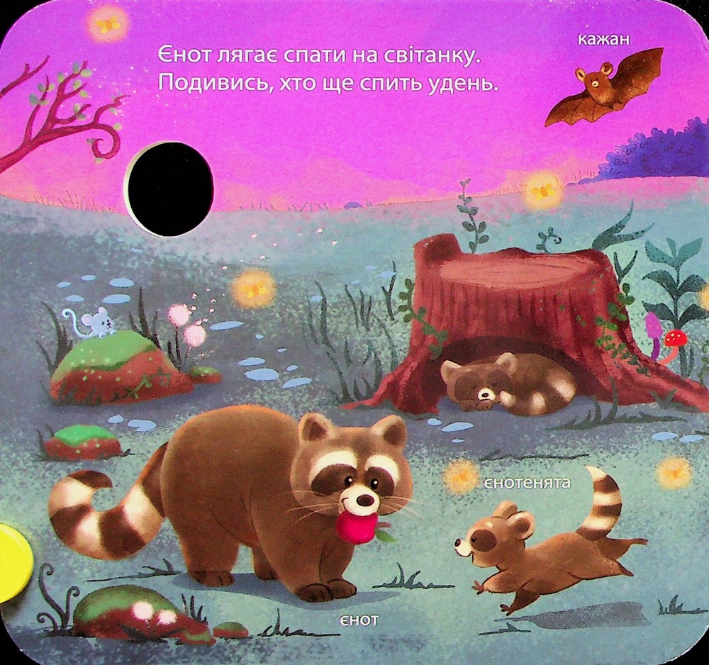 Книга Хто живе у лісі? Зазирни у віконечко. Фото 3