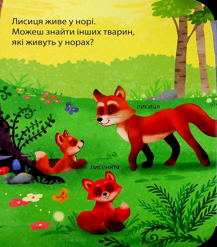 Книга Хто живе у лісі? Зазирни у віконечко. Фото 5