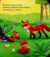 Книга Хто живе у лісі? Зазирни у віконечко. Фото 5