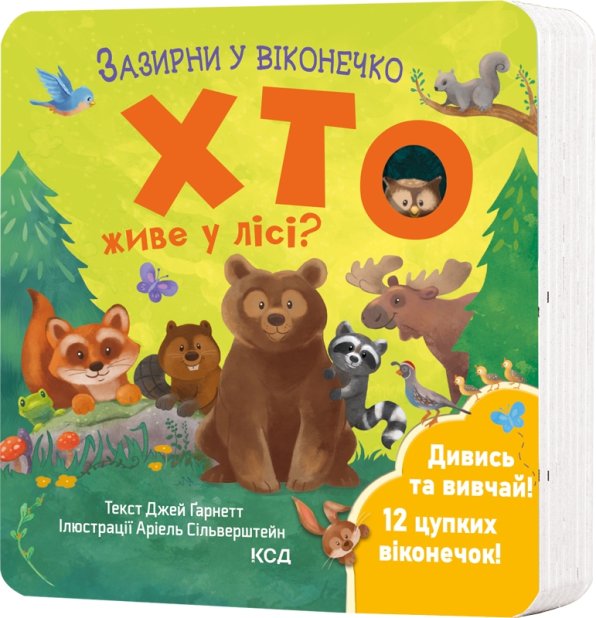 Книга Хто живе у лісі? Зазирни у віконечко