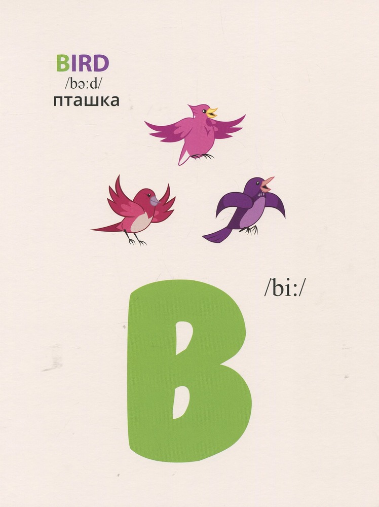 Книга Англійська абетка. ТМ My Little Pony. Фото 4