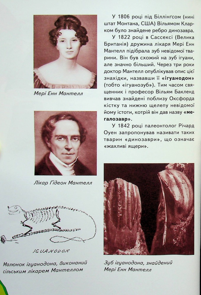 Книга Дитяча енциклопедія. Динозаври. Фото 6