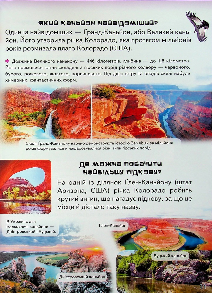 Книга Дитяча енциклопедія. Запитайкам. Фото 12