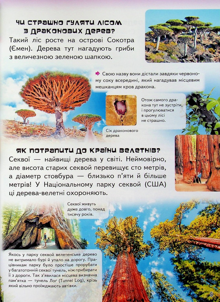 Книга Дитяча енциклопедія. Запитайкам. Фото 7