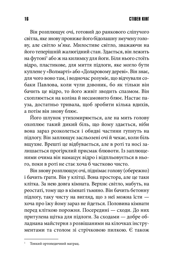 Книга Голлі - Стівен Кінг. Фото 11