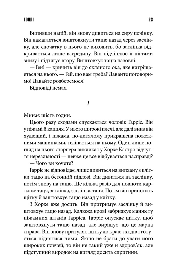 Книга Голлі - Стівен Кінг. Фото 18