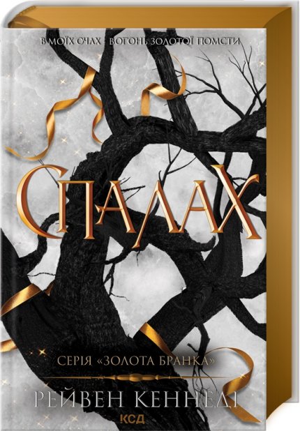 Книга Спалах. Книга 3 - Рейвен Кеннеді
