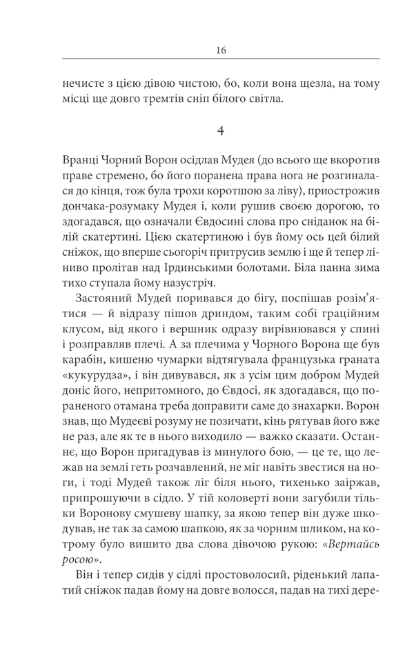 Книга Чорний ворон. Залишенець - Василь Шкляр. Фото 15