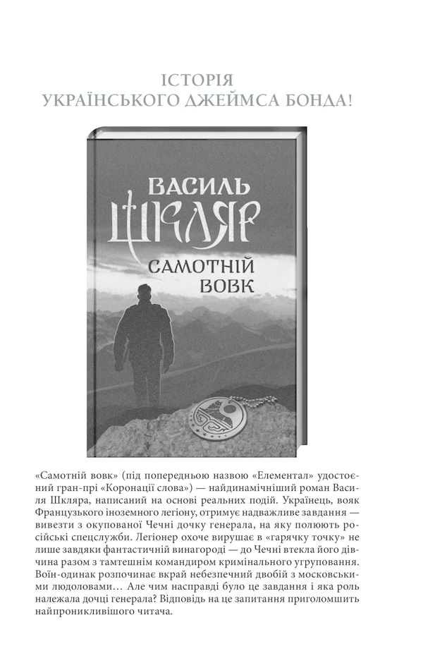 Книга Чорний ворон. Залишенець - Василь Шкляр. Фото 36