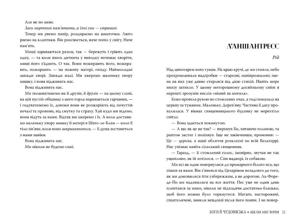 Книга Боги й чудовиська - Шелбі Мег'юрін. Фото 4