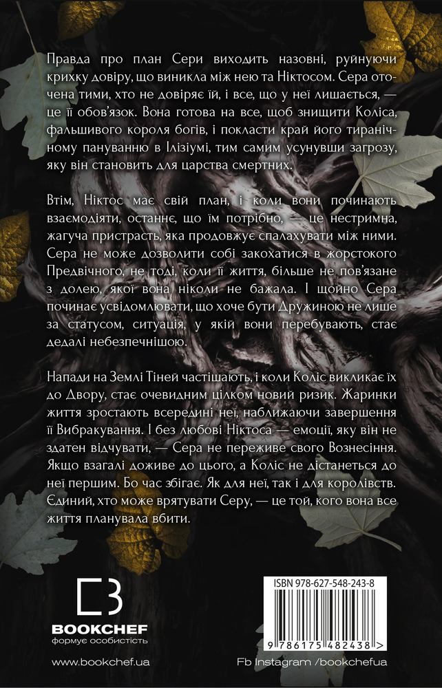 Книга Плоть і вогонь. Книга 2. Світло у пломені - Дженніфер Лінн Арментраут. Фото 2