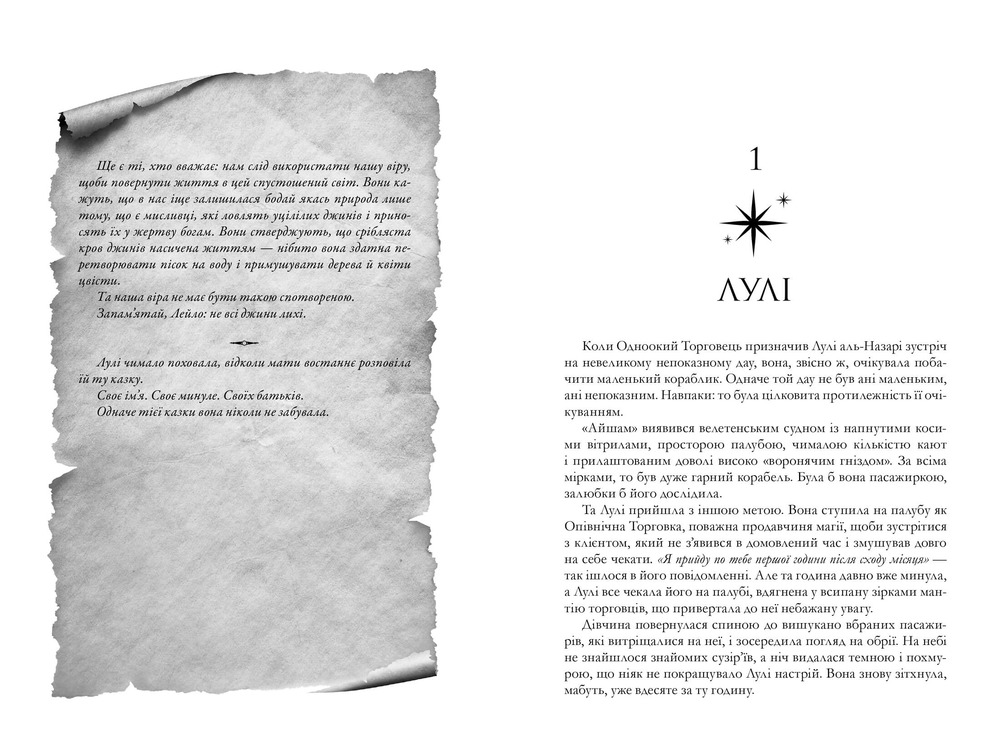 Книга Крадій зоряного пилу - Челсі Абдулла. Фото 3