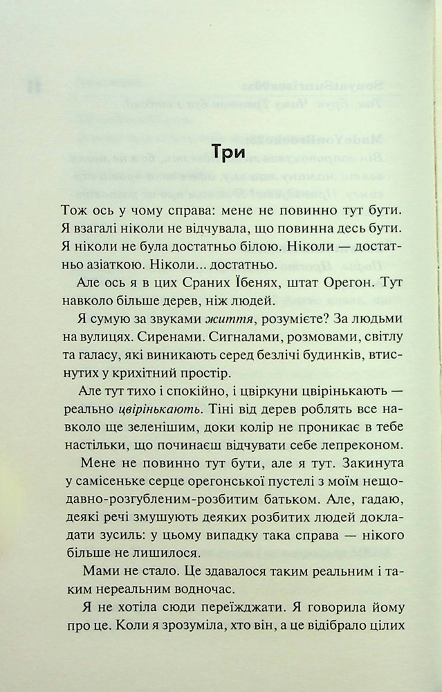 Книга Дівчата люблять дівчат - Гейлі Кійоко. Фото 7