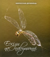 Книга Ескізи на павутинні - Мирослав Дочинець