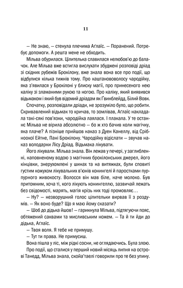 Книга Відьмак. Хрещення вогнем. Книга 5 - Анджей Сапковський. Фото 11