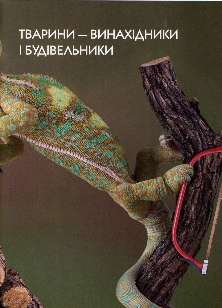 Книга Тварини - винахідники і будівельники. Енциклопедія для допитливих. Фото 5