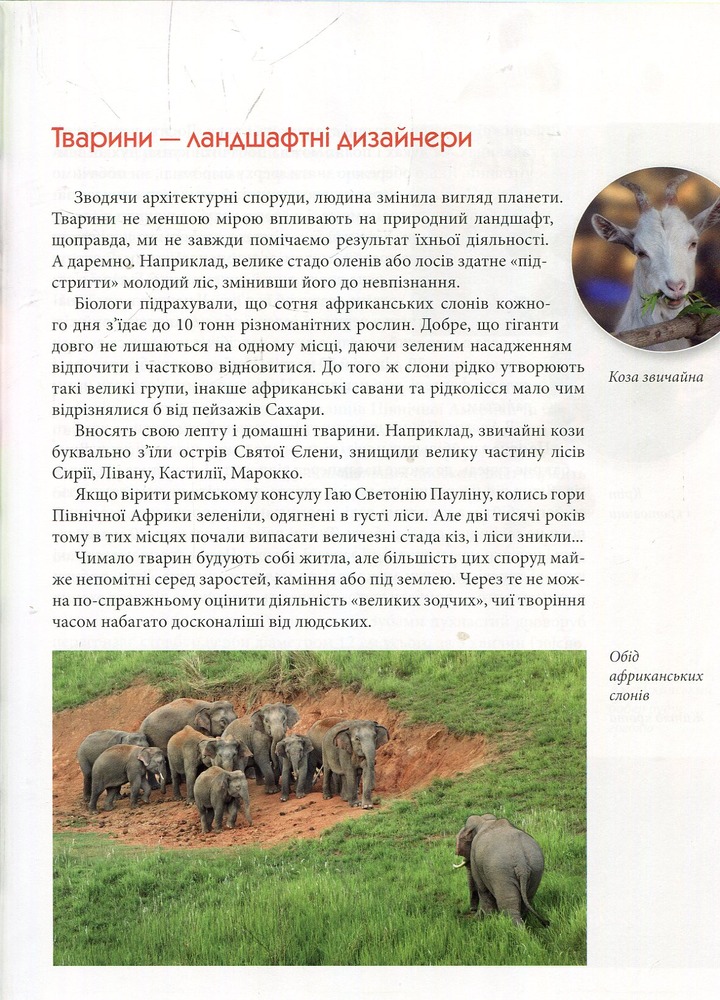 Книга Тварини - винахідники і будівельники. Енциклопедія для допитливих. Фото 7