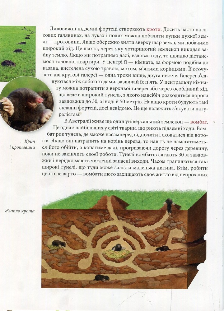 Книга Тварини - винахідники і будівельники. Енциклопедія для допитливих. Фото 8