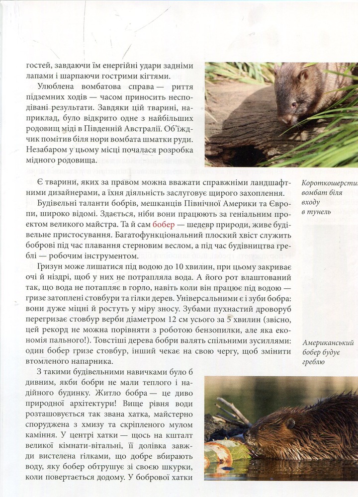 Книга Тварини - винахідники і будівельники. Енциклопедія для допитливих. Фото 9