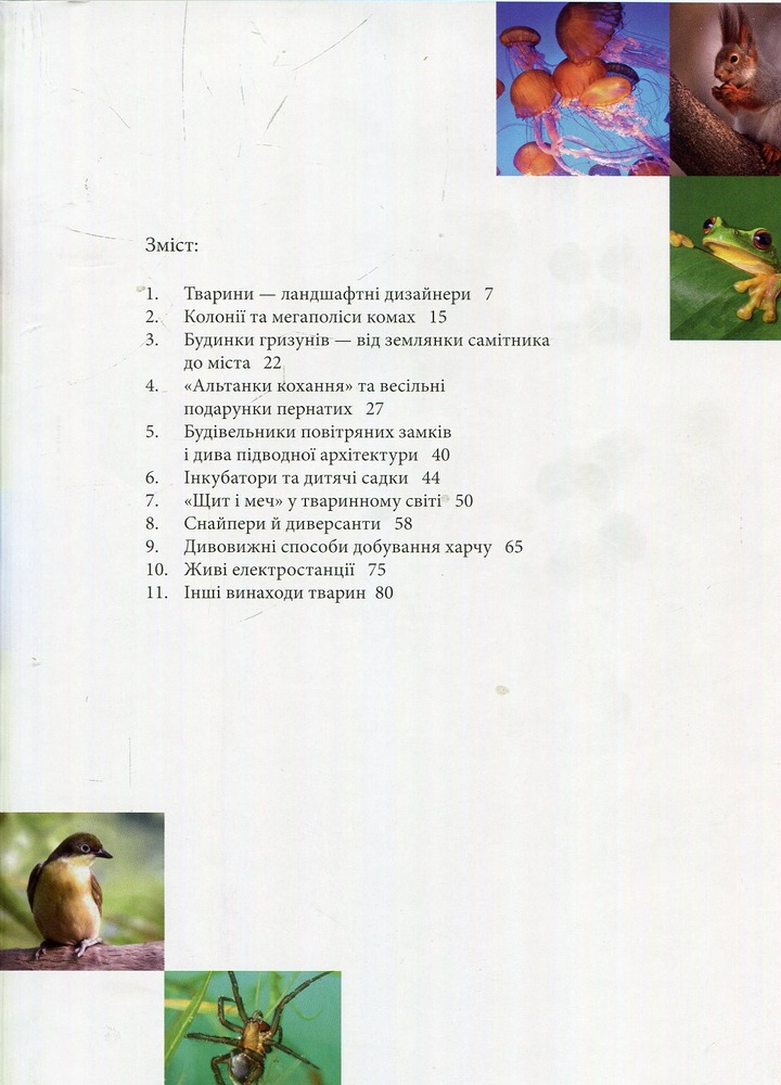 Книга Тварини - винахідники і будівельники. Енциклопедія для допитливих. Фото 3