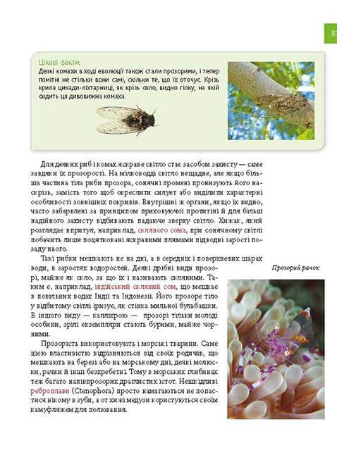 Книга Тварини - майстри маскування. Енциклопедія для допитливих. Фото 17