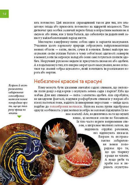 Книга Тварини - майстри маскування. Енциклопедія для допитливих. Фото 10