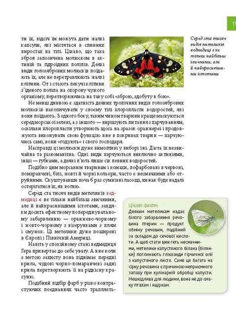 Книга Тварини - майстри маскування. Енциклопедія для допитливих. Фото 11