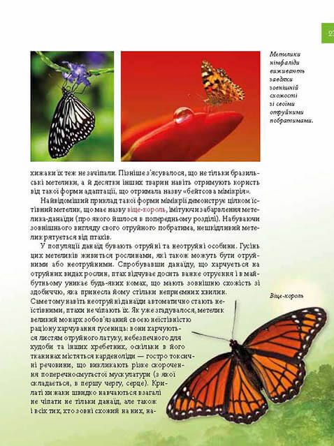 Книга Тварини - майстри маскування. Енциклопедія для допитливих. Фото 13